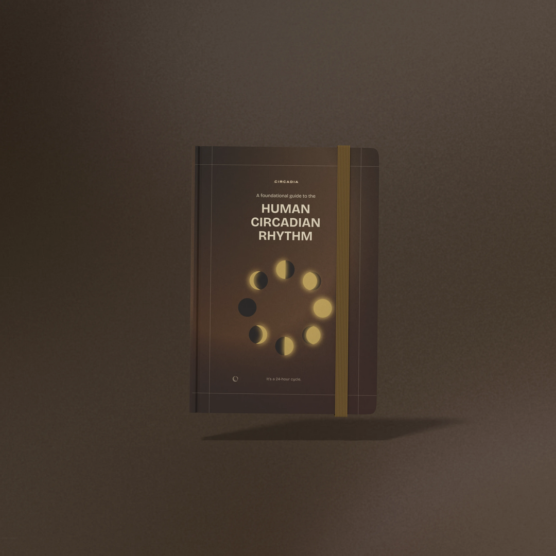 A Foundational Guide to the Circadian Alignment